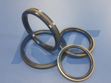 Piston Seal