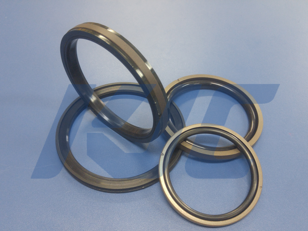 PISTON SEAL