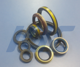 Oil Seal